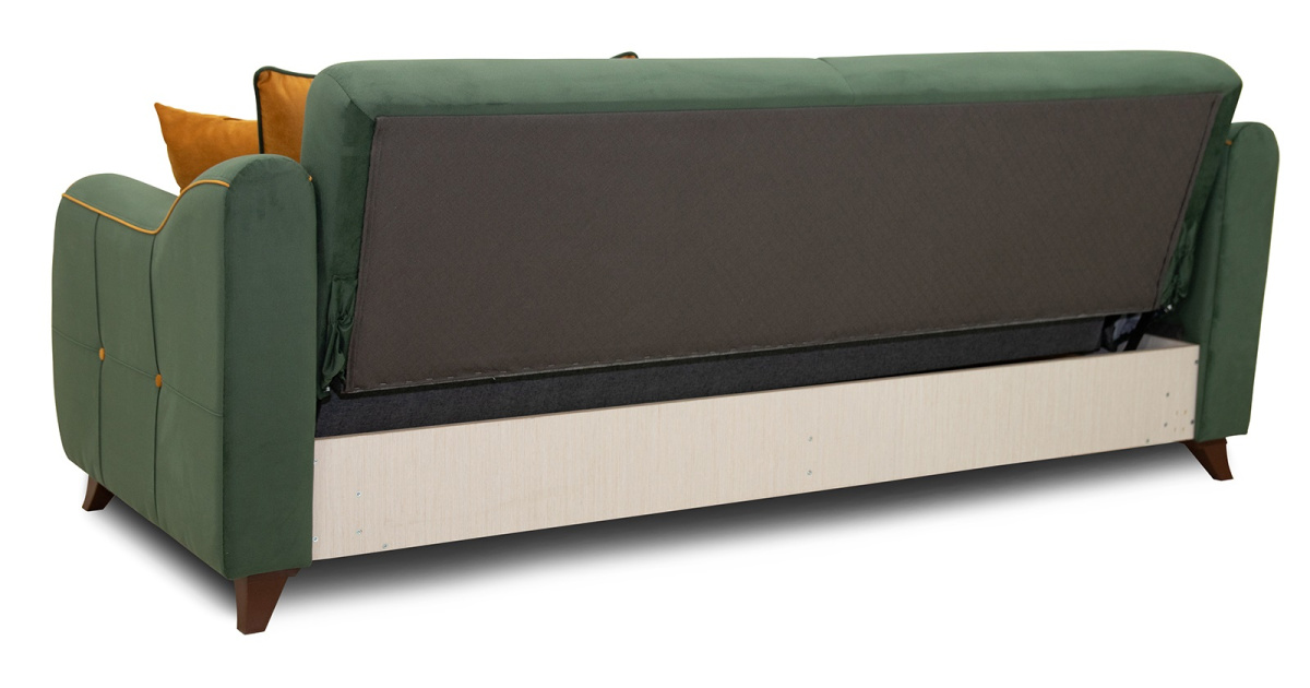 Frensis_pryamoi_t (17)