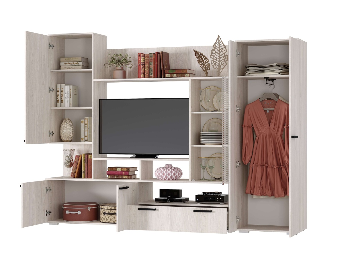 Дендиоткрытая