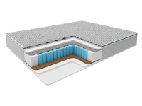 Style-Retro Coconut_Strong-600